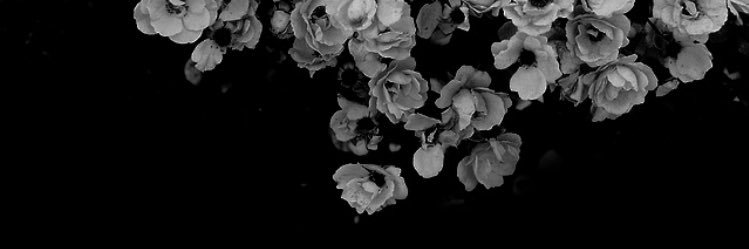 TaraJBush's profile banner image