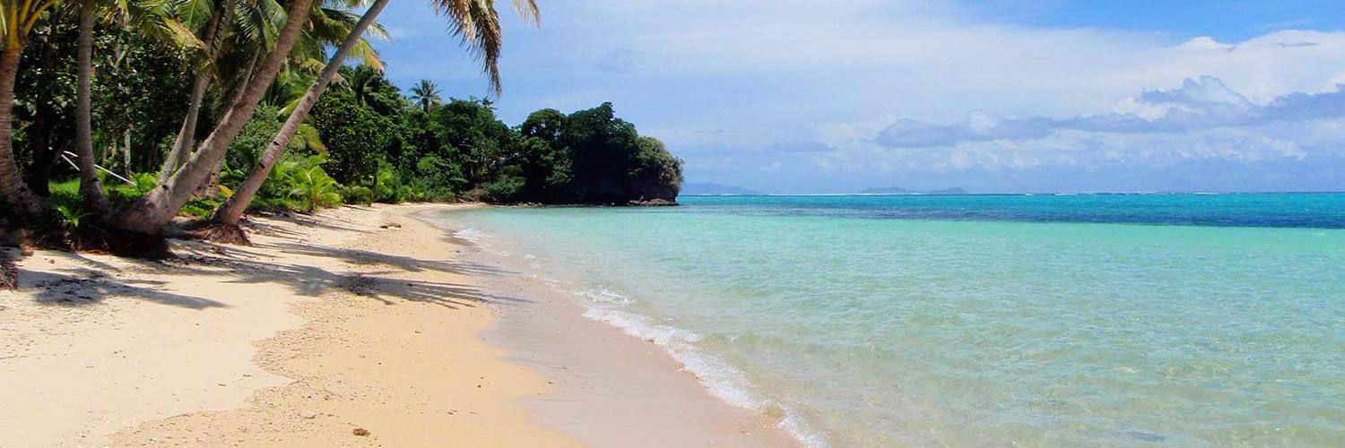 MatanivusiSurf's profile banner image