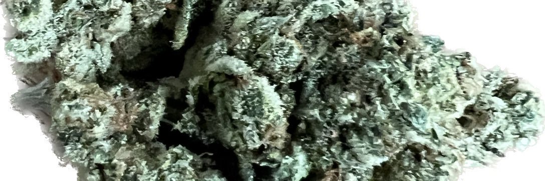 mochoa1990's profile banner image