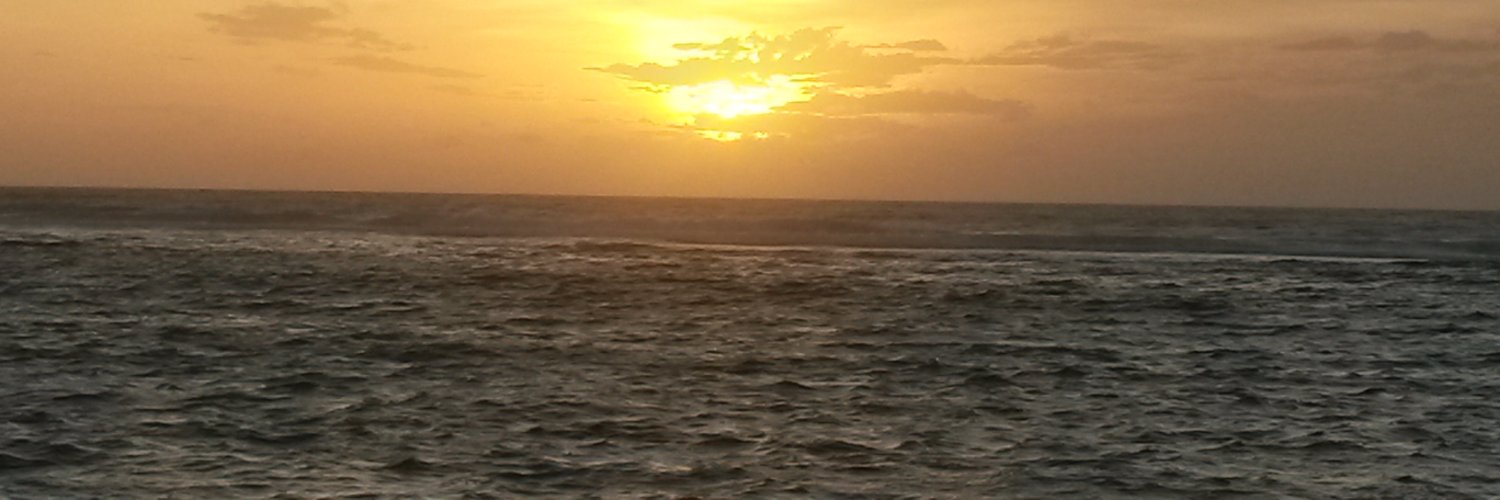 monicastanedag's profile banner image