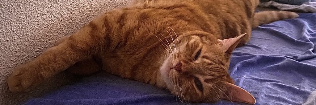 Adrijan Vidović banner