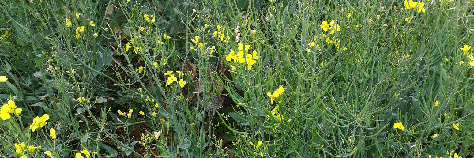 jyleboucq's profile banner image