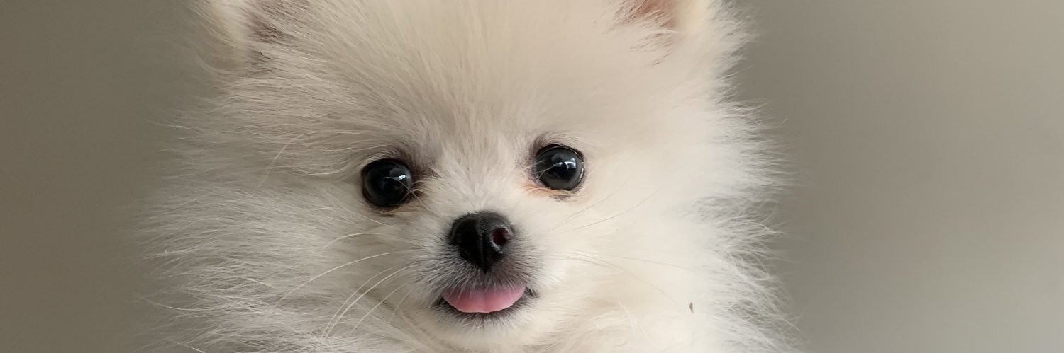 wroggercarv's profile banner image