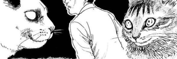devilrencri's profile banner image