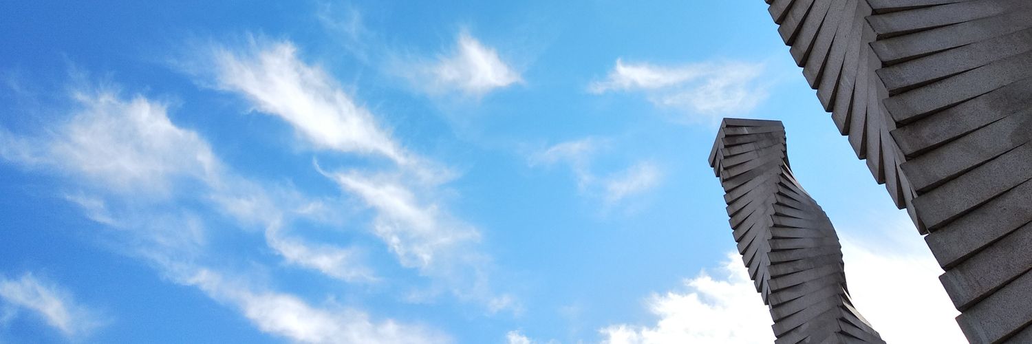 Teresa Ferré Panisello banner