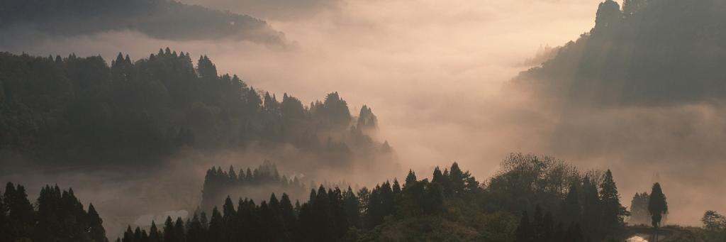 _Braus_Sascha_'s profile banner image