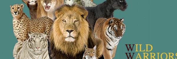 InstinctVBC Profile Banner