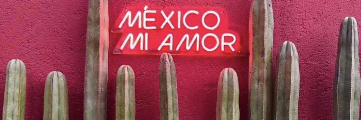 valentinacontla's profile banner image
