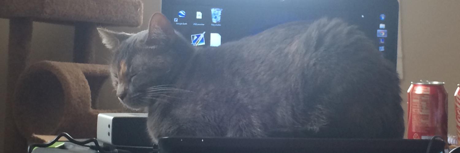 whywilsonwhy's profile banner image