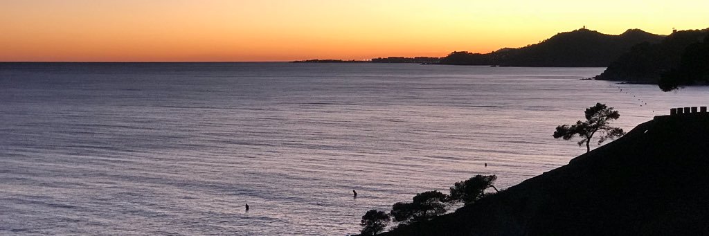 mesparch's profile banner image
