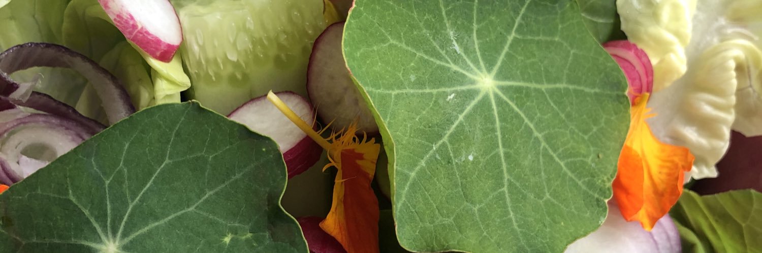 sallyiddles's profile banner image