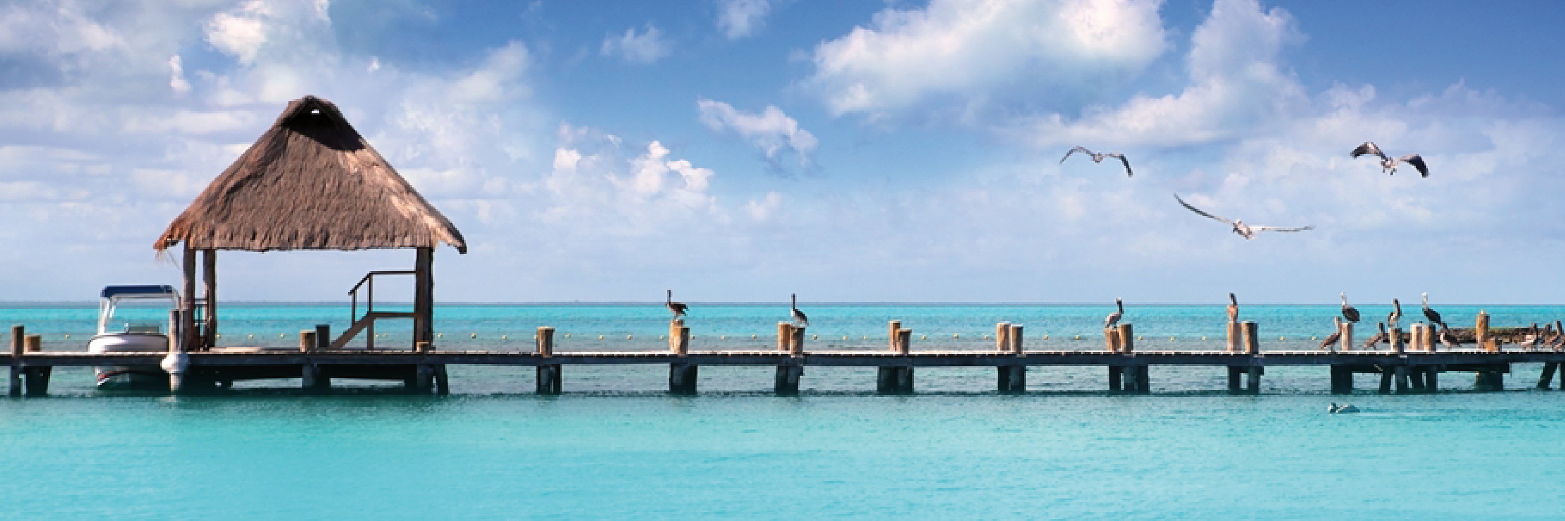 ecocancun's profile banner image