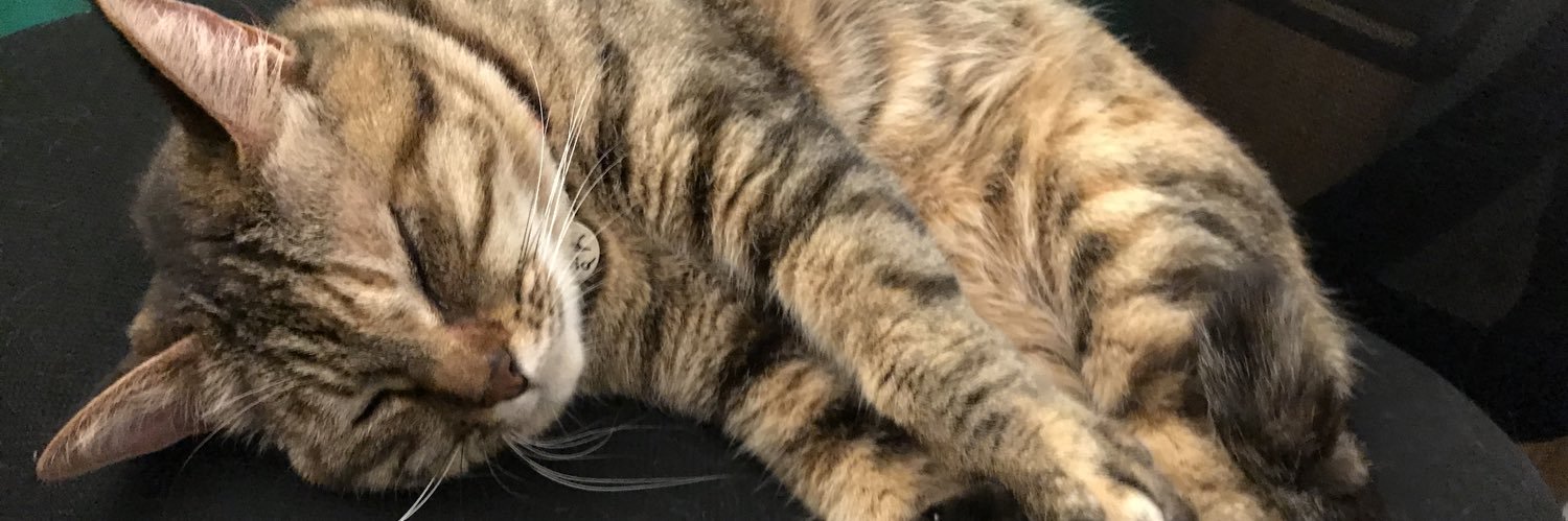 pnwup's profile banner image