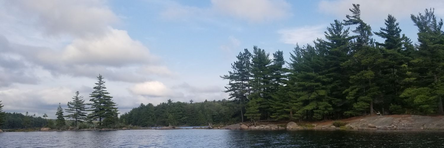 PhilTrotterNDP's profile banner image