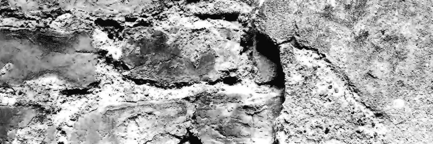 Rolf Hummer 🐚🪠🪐👽🥢🕰️🕯️ banner