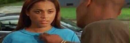 i block Birds banner