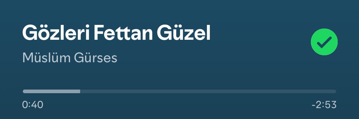 Ali Bozkurt banner