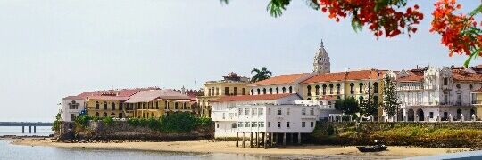 Carlos Rodríguez banner