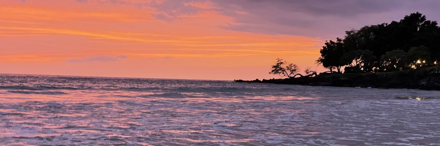 sunnarborgs's profile banner image