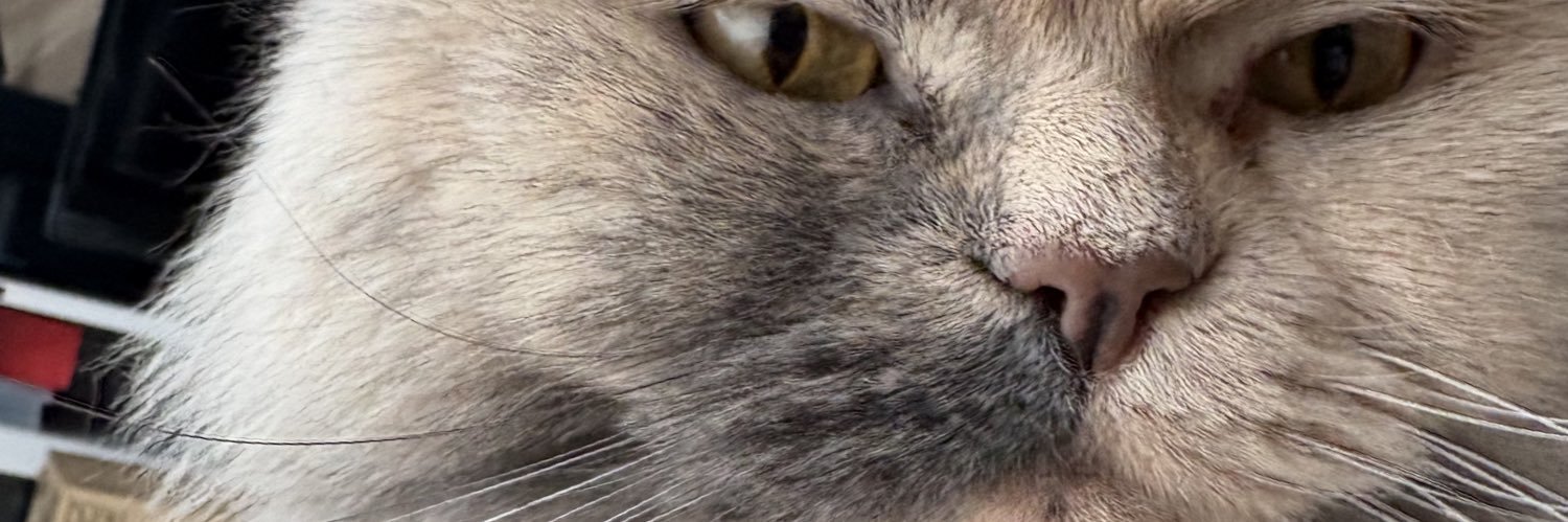 MF(Emef, えめふ) banner