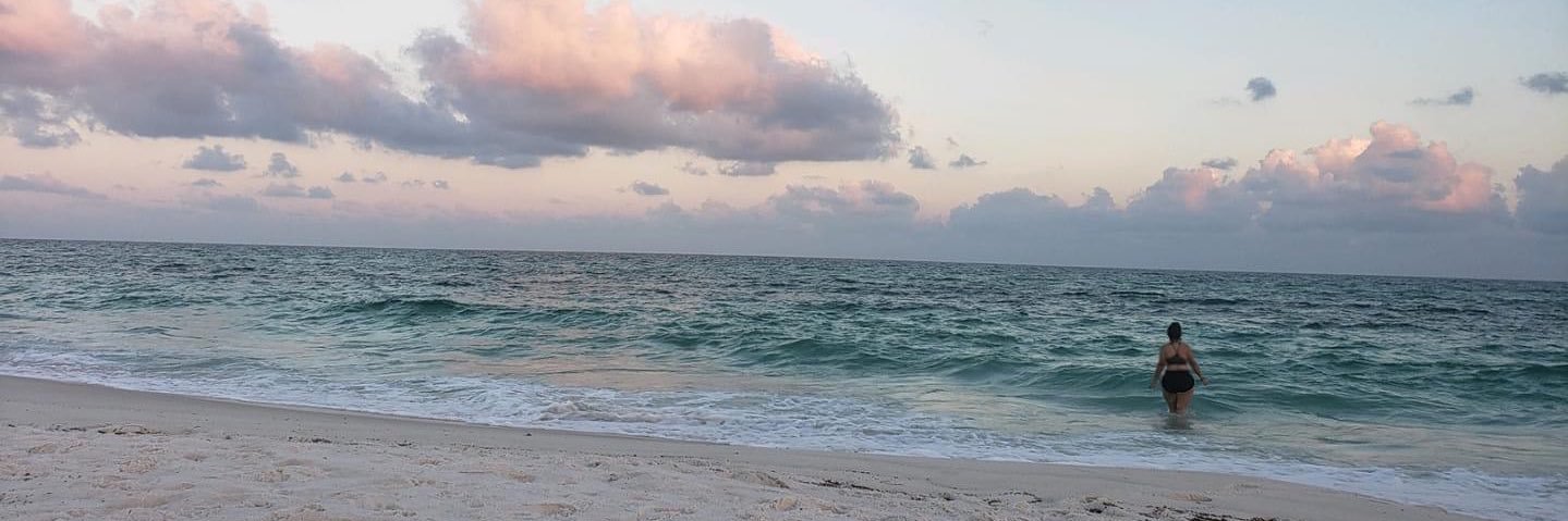 alexisPURPLE's profile banner image