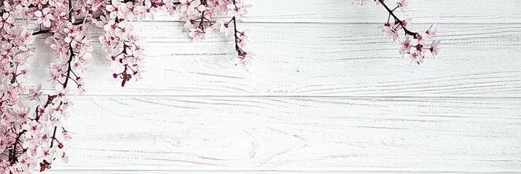 qqPJJp's profile banner image