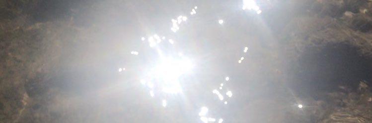 deerbeds's profile banner image