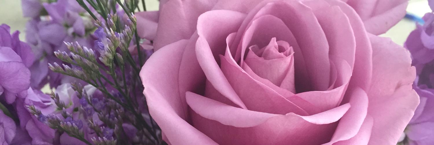 MeaganPopp's profile banner image