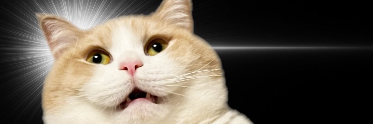 Zumako_v's profile banner image