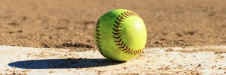 Blue Eye Softball banner