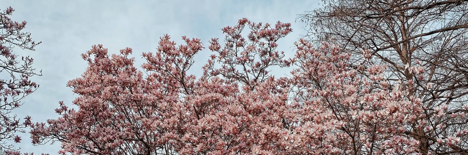 MadisonRittenh1's profile banner image