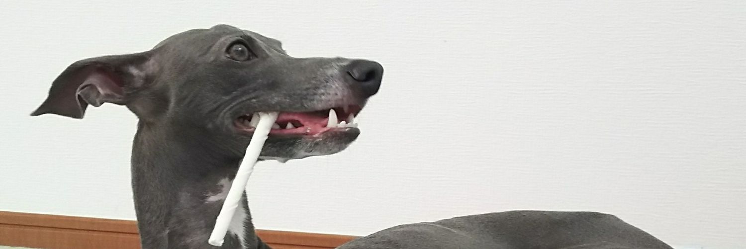 gomaske's profile banner image