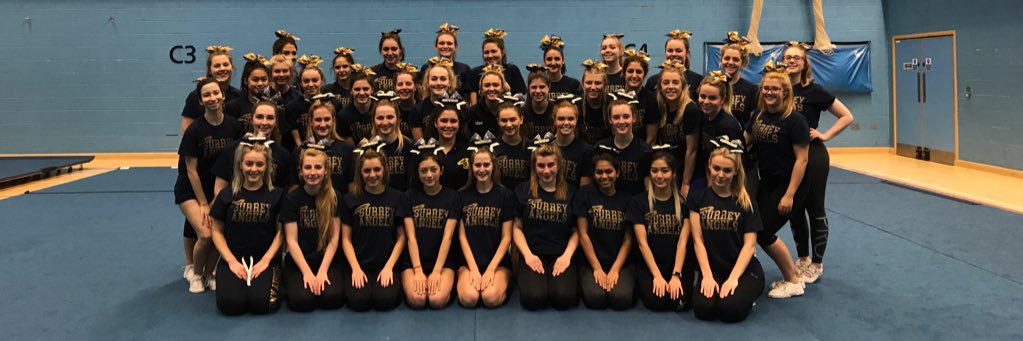 SurreyAngels's profile banner image