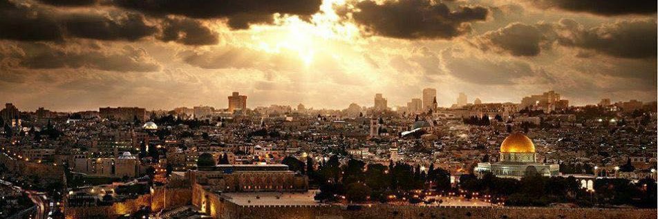 د. ابراهيم حمامي banner