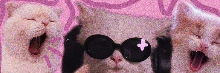 Dxsaster333's profile banner image