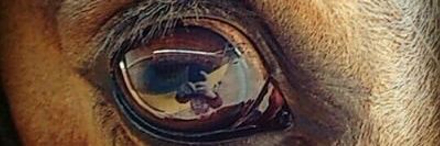 Henar_con_H's profile banner image
