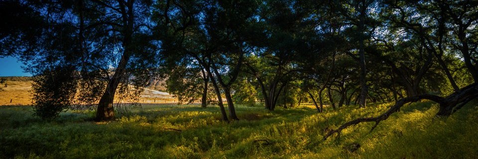 sierraclubsd's profile banner image