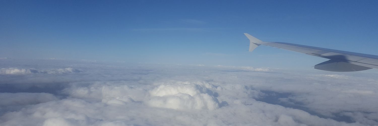 Stephanie Green banner