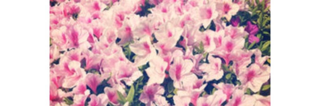 mqc0ru's profile banner image