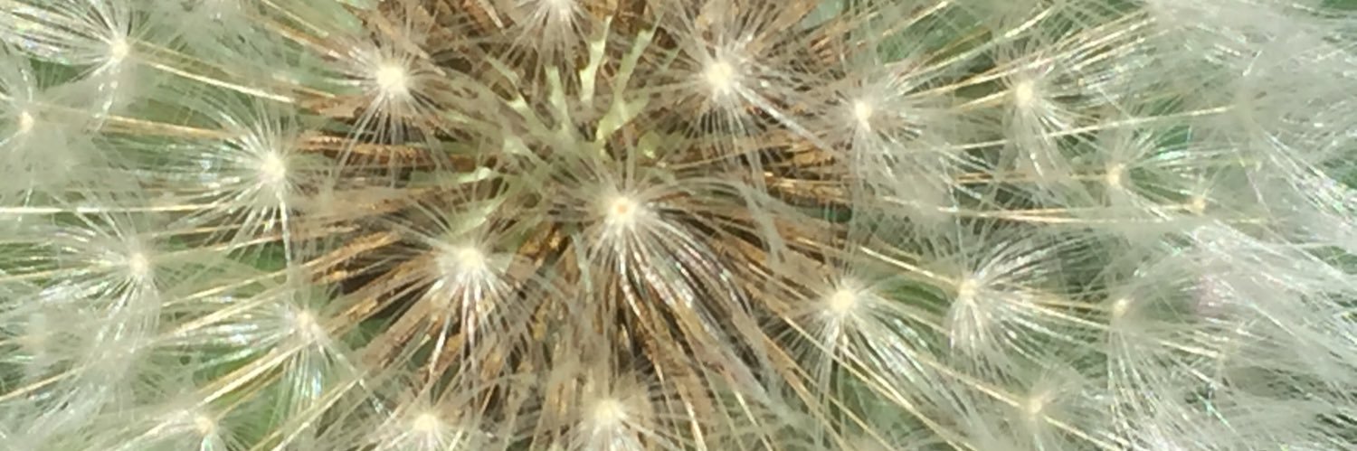 MichelleM_73's profile banner image