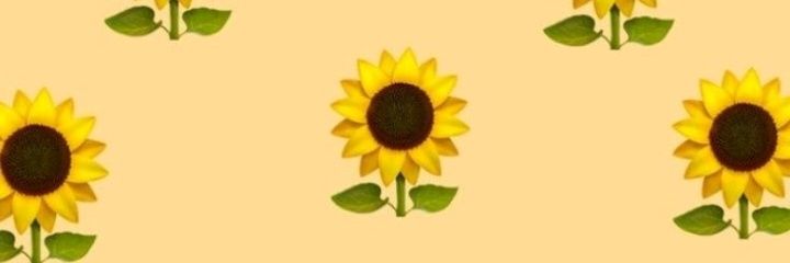 deny869's profile banner image