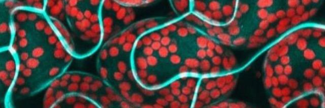 science_sos's profile banner image
