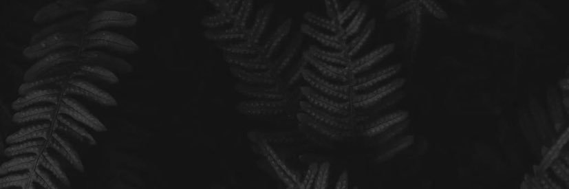 MeadAmylia's profile banner image