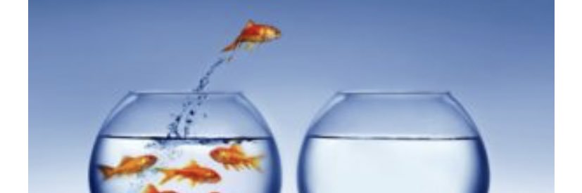 Georgia Labos banner