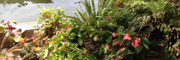 WayneCamo Profile Banner