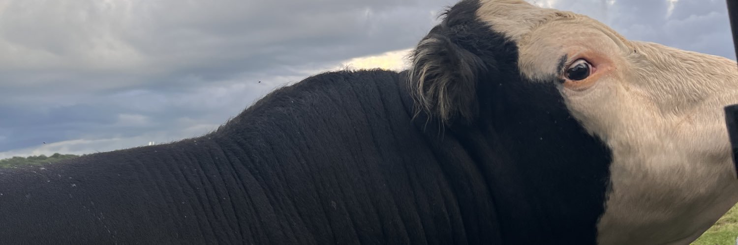 exposeskam's profile banner image