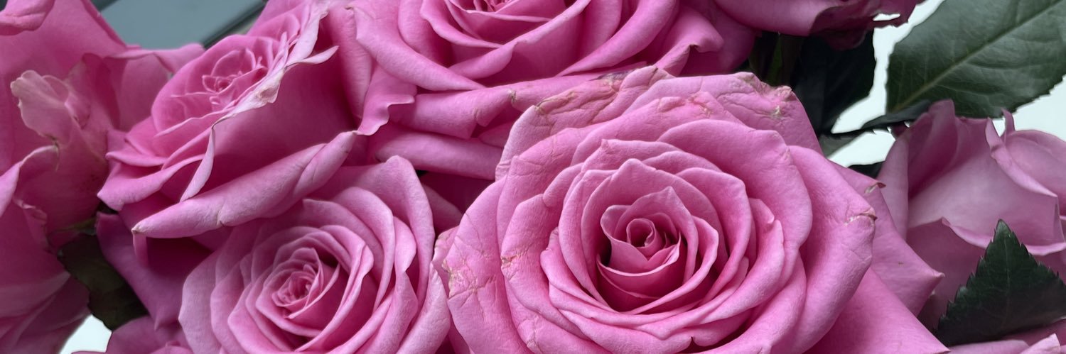 _kaitlinlong's profile banner image