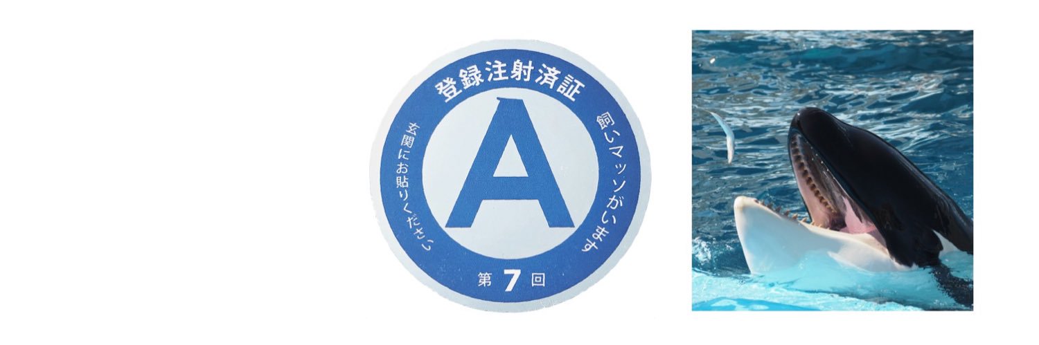 osukamao's profile banner image
