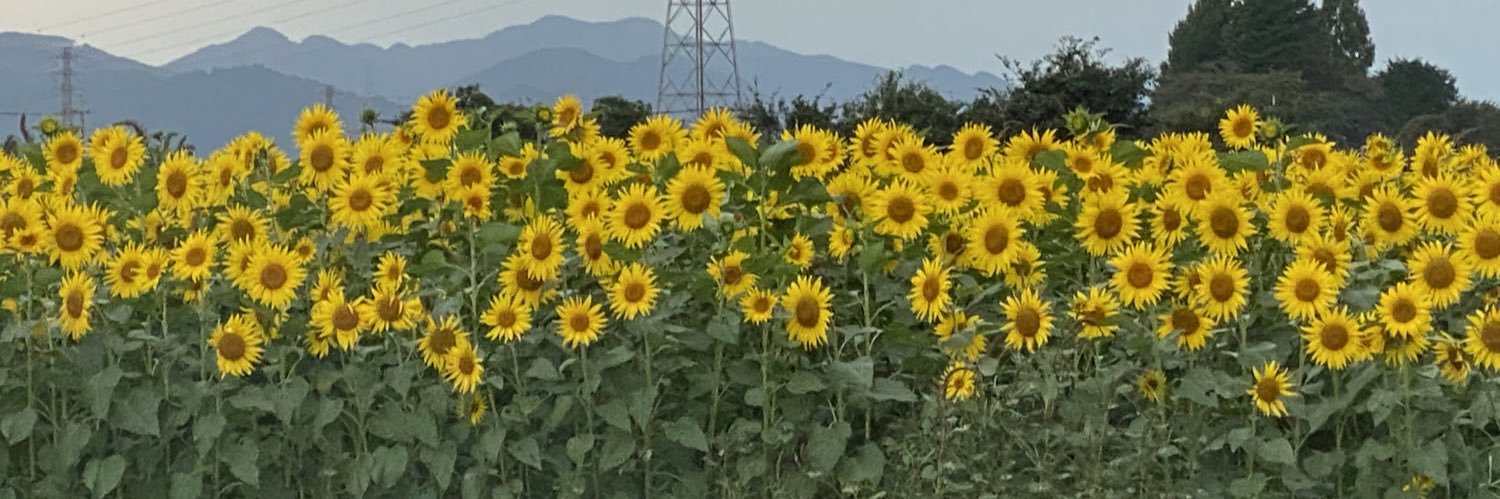 misaaaki_04's profile banner image