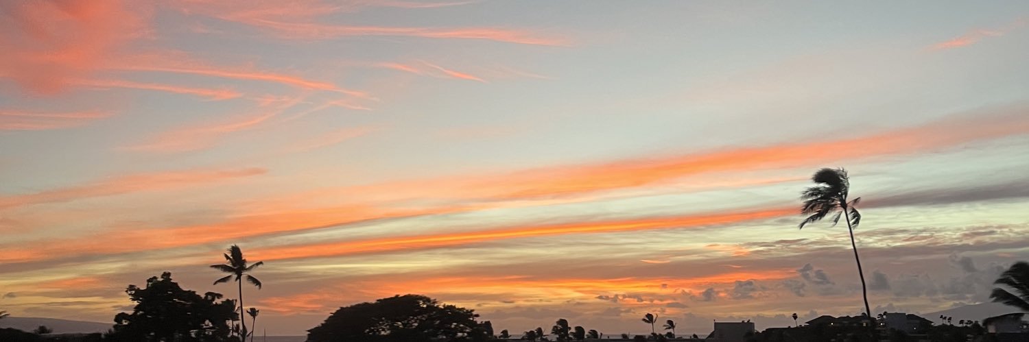 krtNJ_'s profile banner image